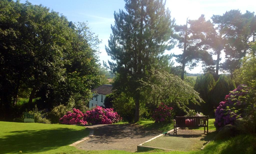 Priskilly Forest Country House Fishguard Zimmer foto
